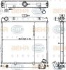 TATA 254750100215 Radiator, engine cooling